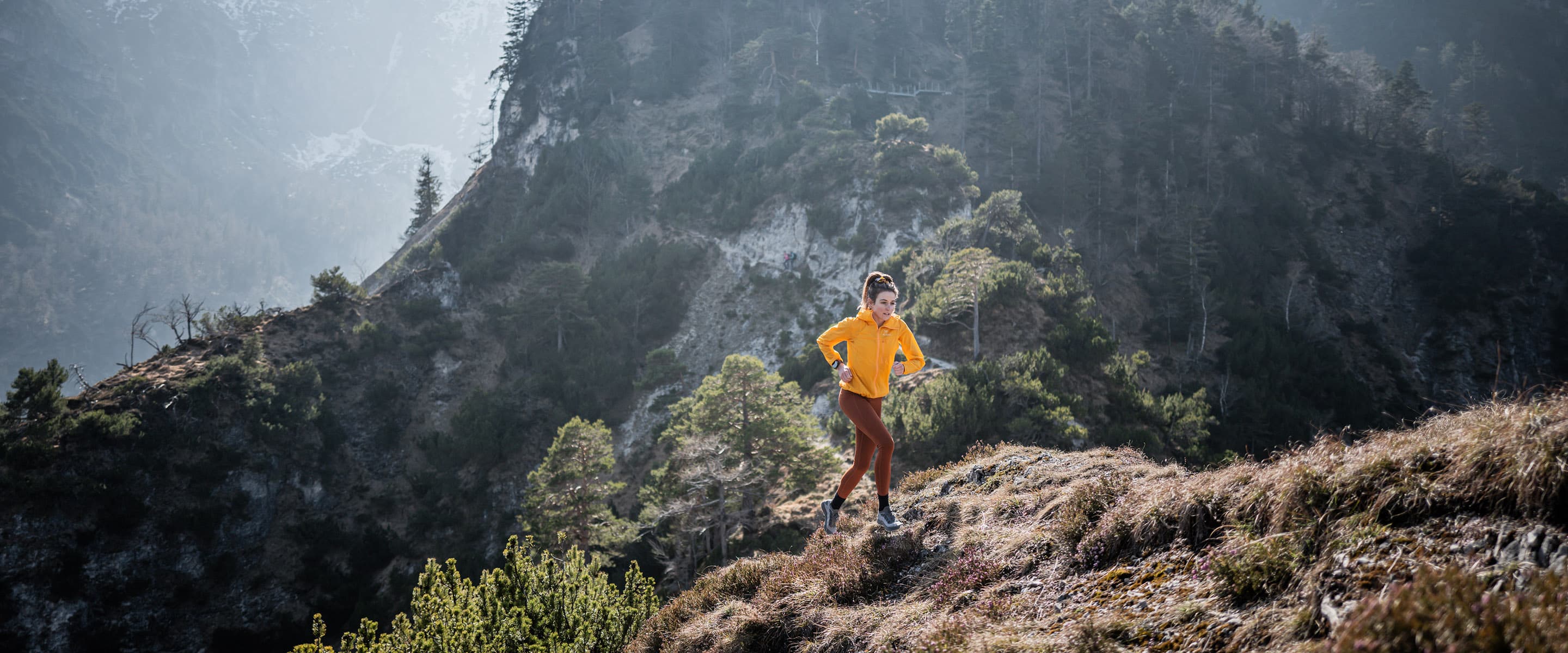 长时间持续训练所蕴含的强大效能