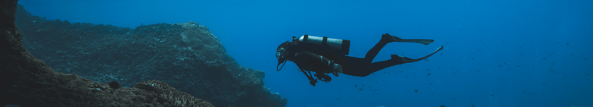 了解规格和其他产品信息