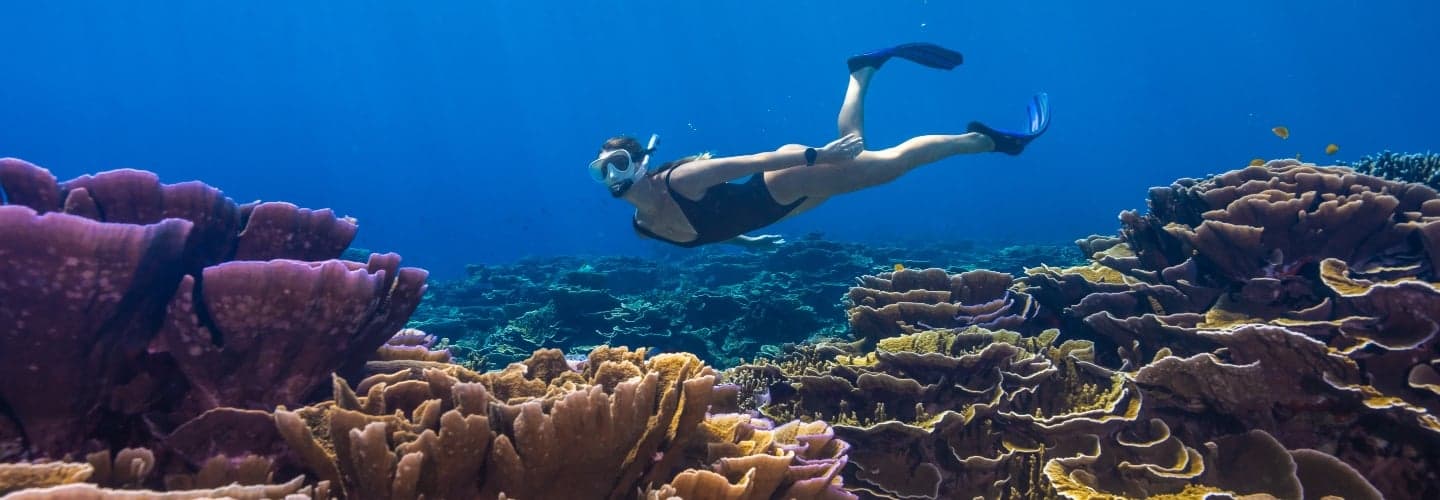 让初学者爱上浮潜的15个秘诀