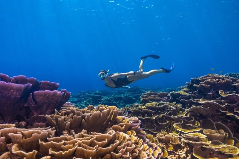 让初学者爱上浮潜的15个秘诀